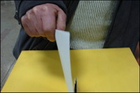 Comisia Electorală Centrală a aprobat Instrucţiuni privind unele particularităţi de efectuare a votării la alegerile locale generale din 3 iunie 2007